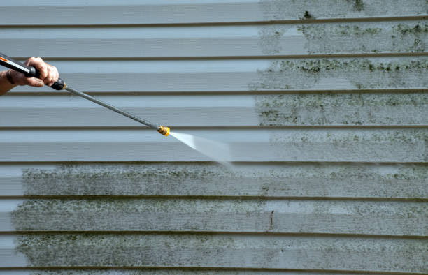Best Window and Screen Pressure Cleaning in Muscle Shos, AL